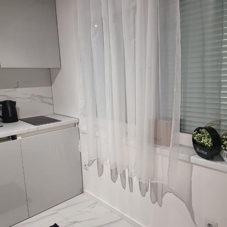 Downtown - One-Bedroom Apartment - 12