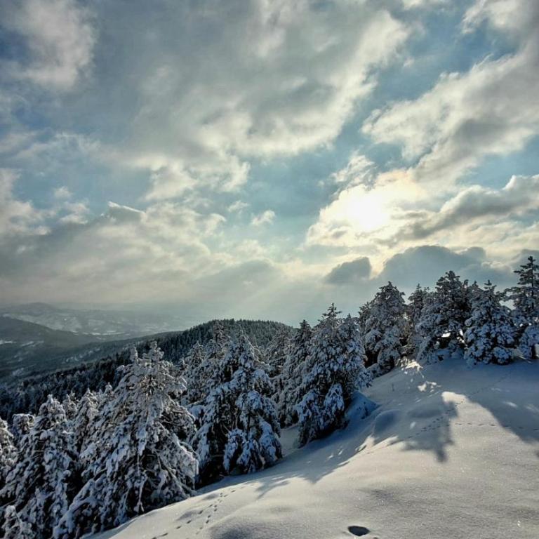 Divchy dream - Apartman - 66