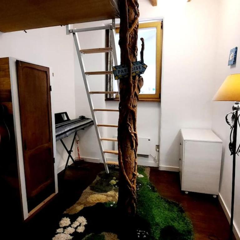 La casa del árbol - Apartamento de 2 dormitorios - 6