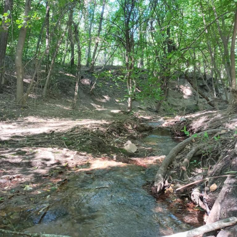 La Tacuarita - One-Bedroom Apartment - 18