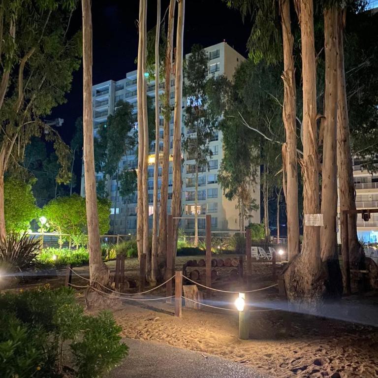 Costa Algarrobo Departamento Amoblado - Three-Bedroom Apartment - 3
