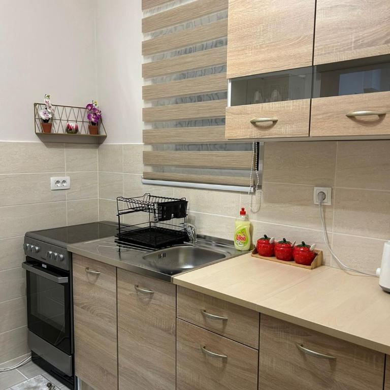 Lux Apartman Jovana - One-Bedroom Apartment - 14