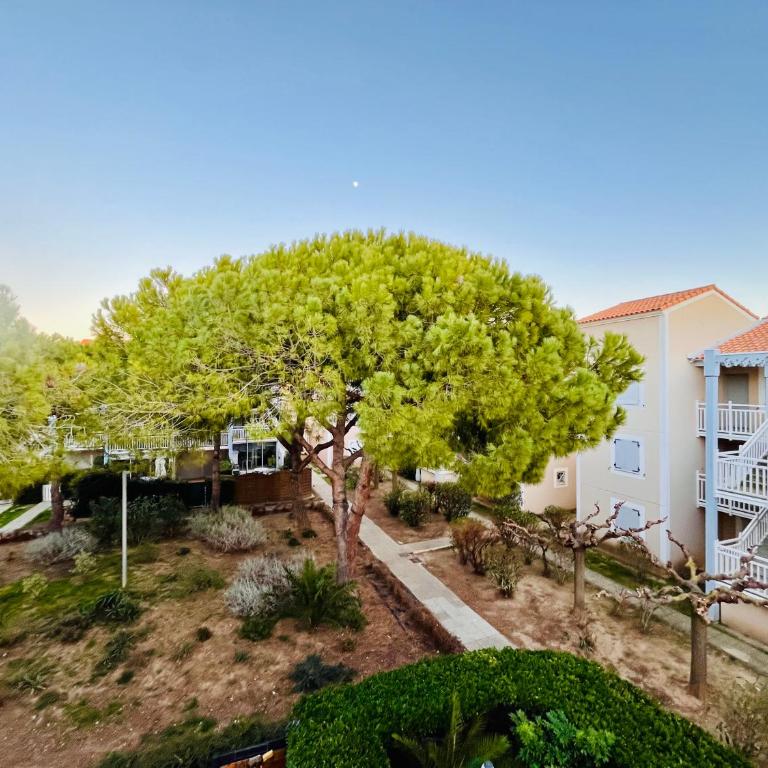 Le Scarlett - Piscine, parking et proche plage - Appartement 2 Chambres - 16