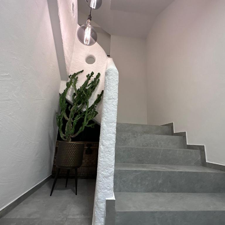 DAS MANFRED - Apartment mit 1 Schlafzimmer - 21