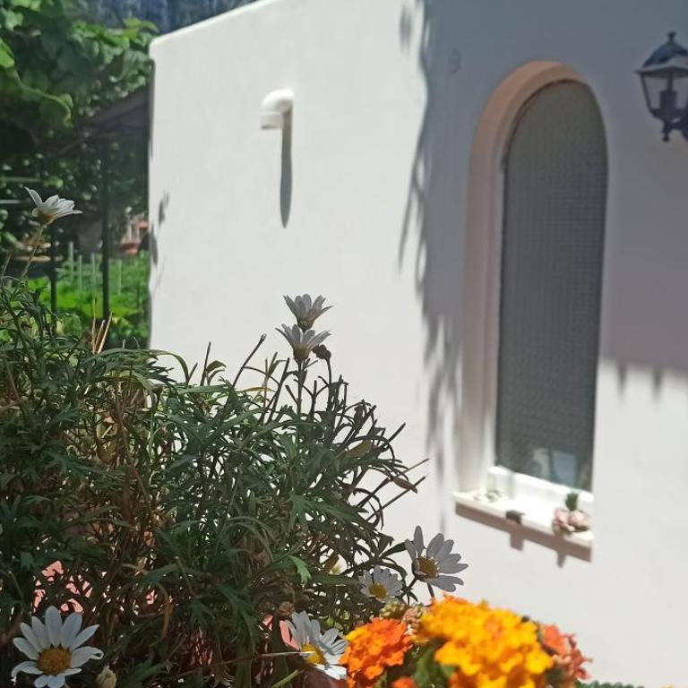 Villa dei fiori B&B - Camera Matrimoniale Deluxe con 1 Letto Supplementare - 7