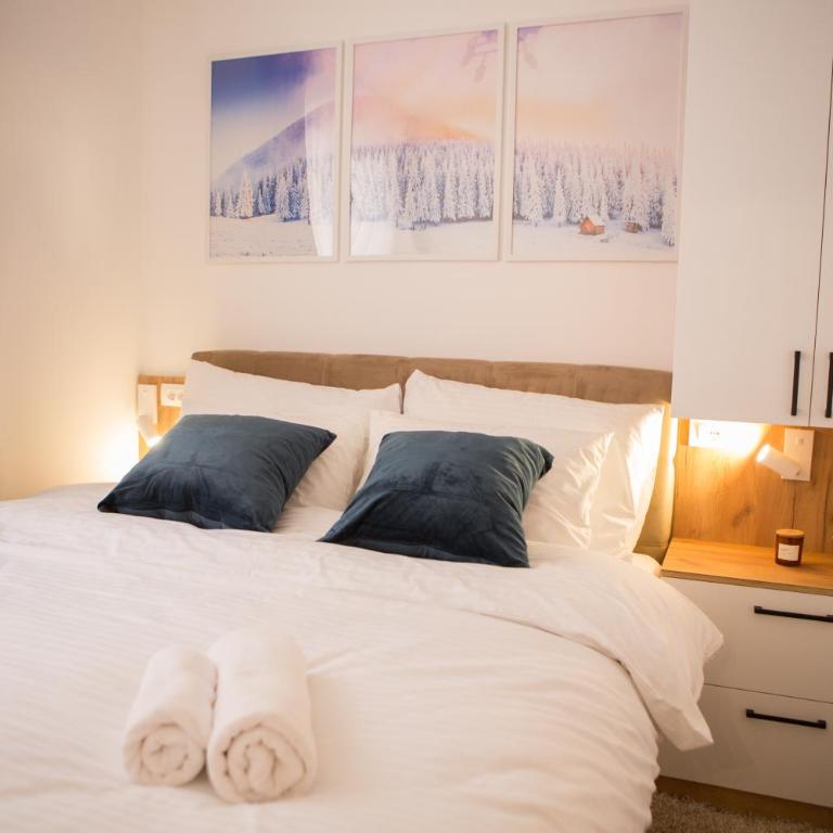 GreenMont Jahorina - Two-Bedroom Apartment - 18