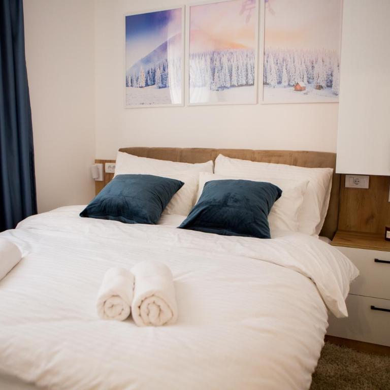 GreenMont Jahorina - Two-Bedroom Apartment - 24