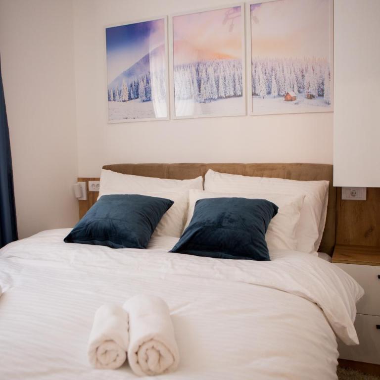 GreenMont Jahorina - Two-Bedroom Apartment - 23