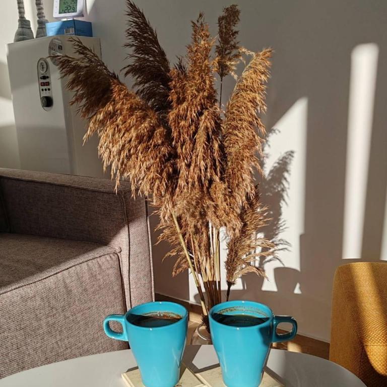 Divčibarska čarolija - Apartman sa 1 Spavaćom Sobom - 8
