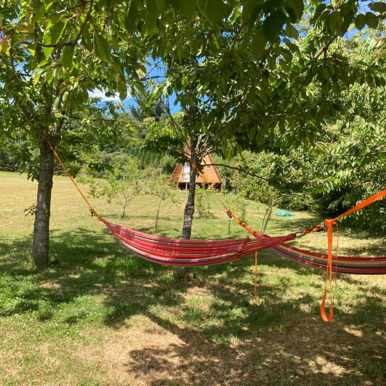 Alpinas Pucón - Casa de 3 dormitorios - 5