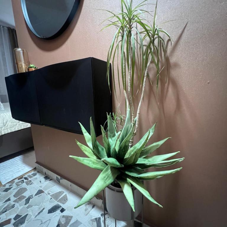 Banja Luka CITY2 - Apartman sa 1 Spavaćom Sobom - 8