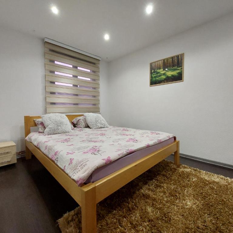 Stan SK - Apartment - 20