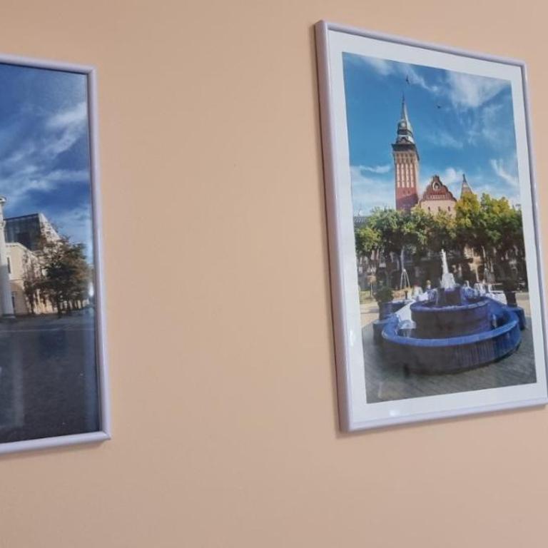 Apartman Aleksa - One-Bedroom Apartment - 6