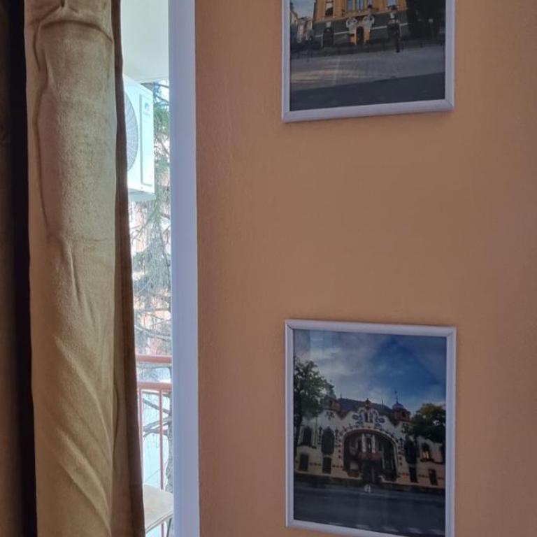 Apartman Aleksa - One-Bedroom Apartment - 7