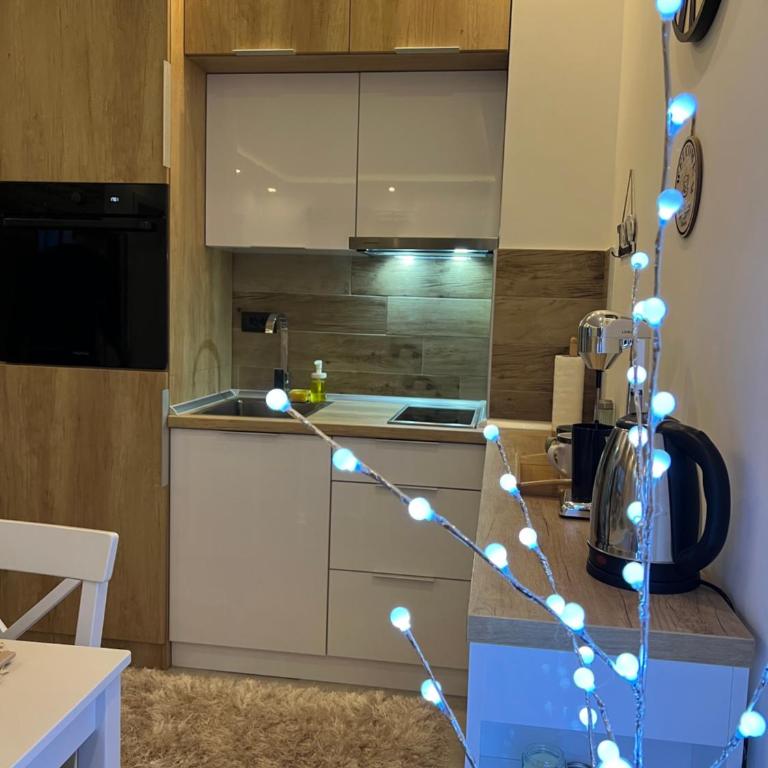 Milmari N lux Sena - Apartman sa 1 Spavaćom Sobom - 10