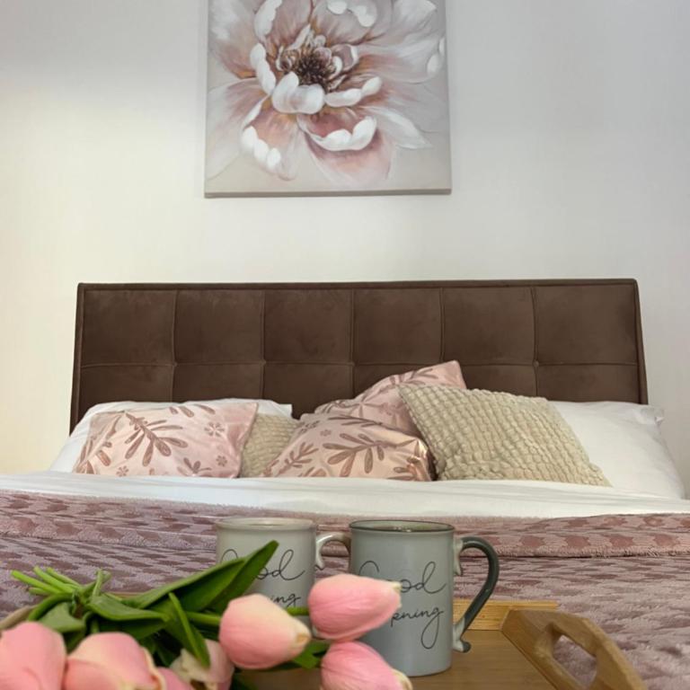 Milmari N lux Sena - Apartman sa 1 Spavaćom Sobom - 21