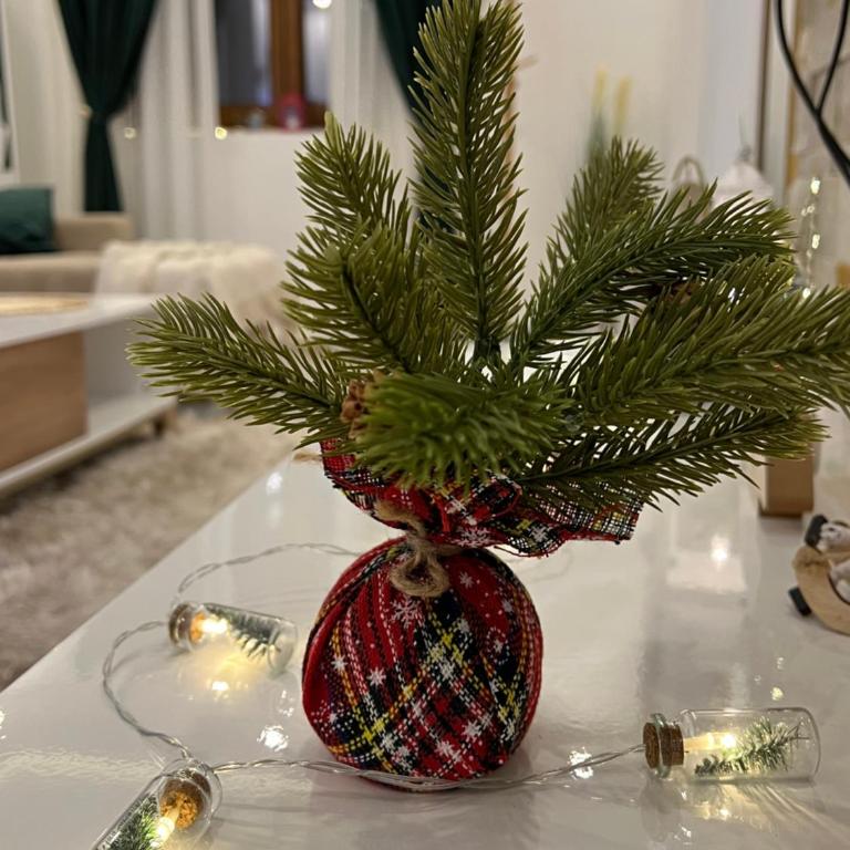 Milmari N lux Sena - Apartman sa 1 Spavaćom Sobom - 15
