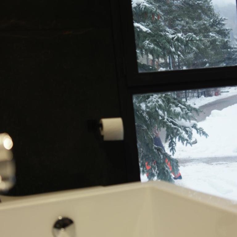 Le Paradis Blanc luxueux Chalet Spa Serre-Chevalier - Chalet - 69