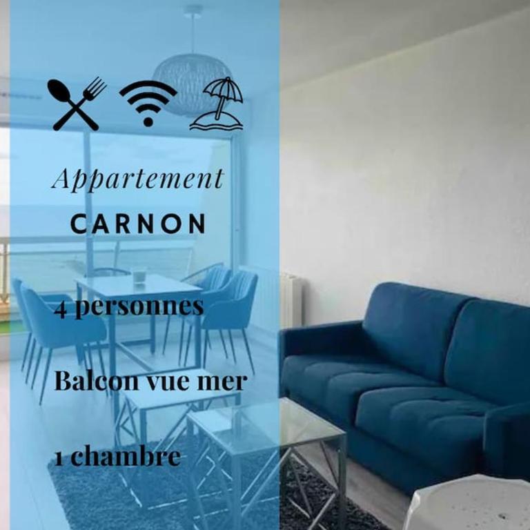 029- Appart 1 chambre, vue sur Mer, 1ère ligne * - Appartement 1 Chambre - 1