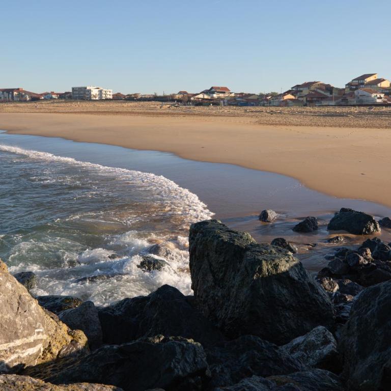 Atlantic Selection - La Parenthèse de Capbreton - Vue océan, plage Notre-Dame - Estudio - 29