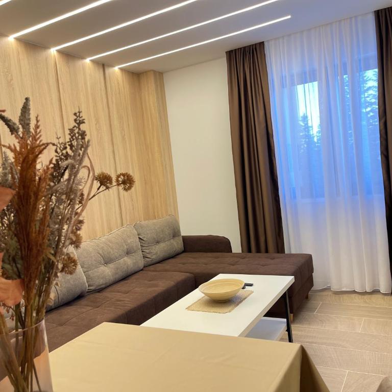 Apartments KALINA Jahorina - One-Bedroom Apartment - 14