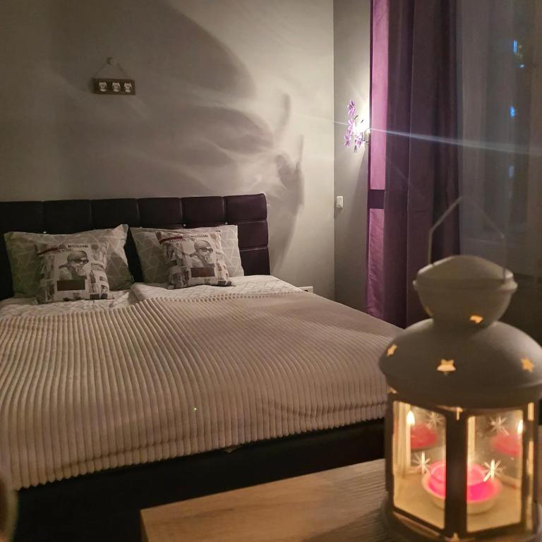 Center Belgrade- Bohemian quarter Skadarlia - Apartman sa 1 Spavaćom Sobom - 4