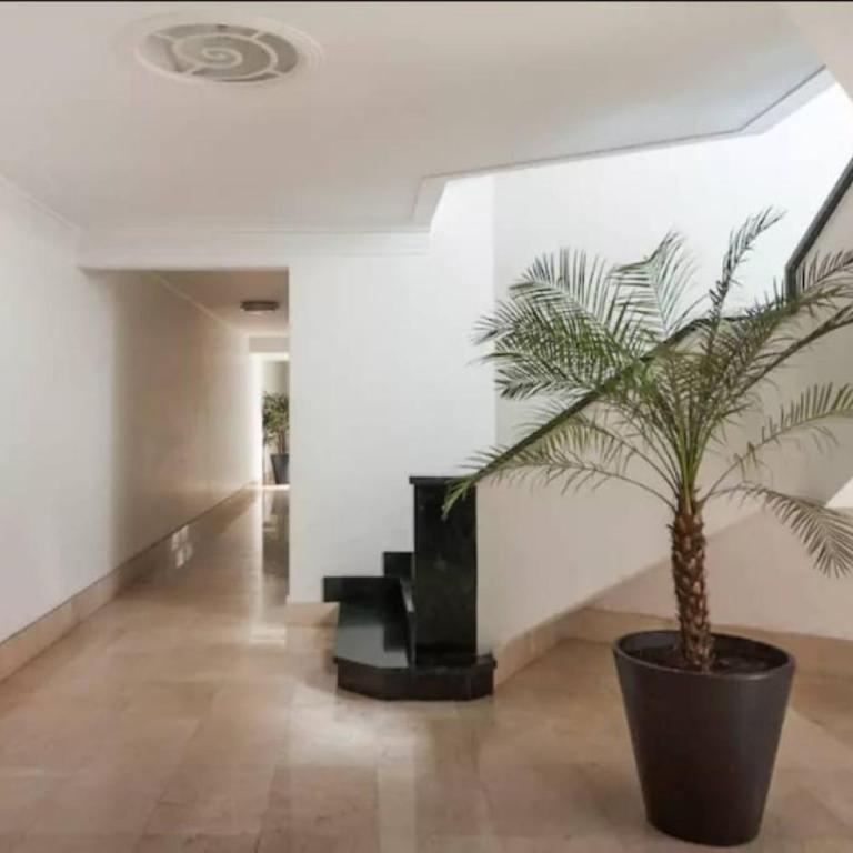 Condesa Residence Campeche 6 2BR, 1BA Apartment with Expansive Living Space - Two-Bedroom Apartment - 28