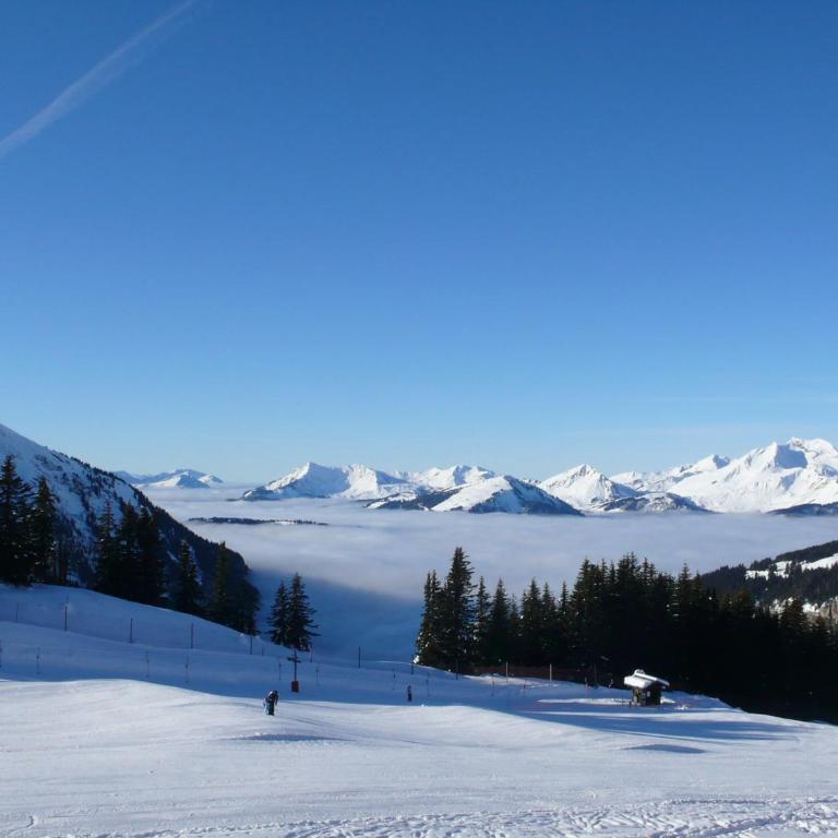Appartement 6 pers avec balcon à Avoriaz - Apartment mit 1 Schlafzimmer - 2