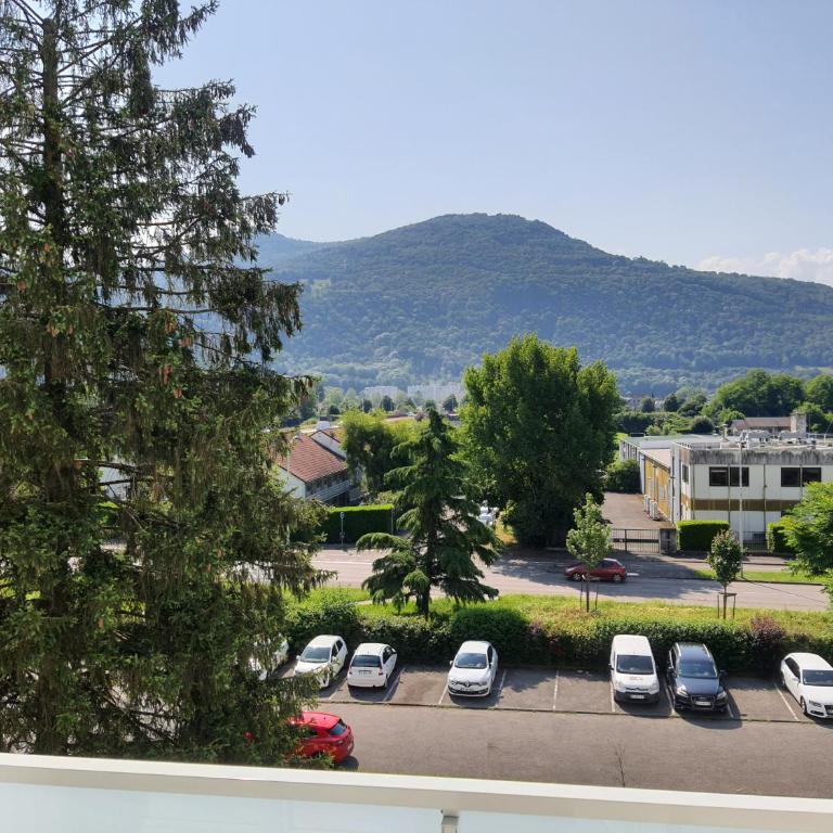 Le Chopin, appartement 3 pièces, parking gratuit, balcon, ascenseur, WiFi - Appartement 2 Chambres - 9