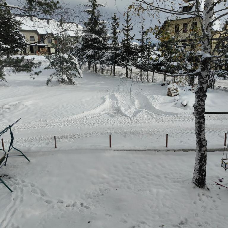 Apartman Zoric - One-Bedroom Apartment - 13