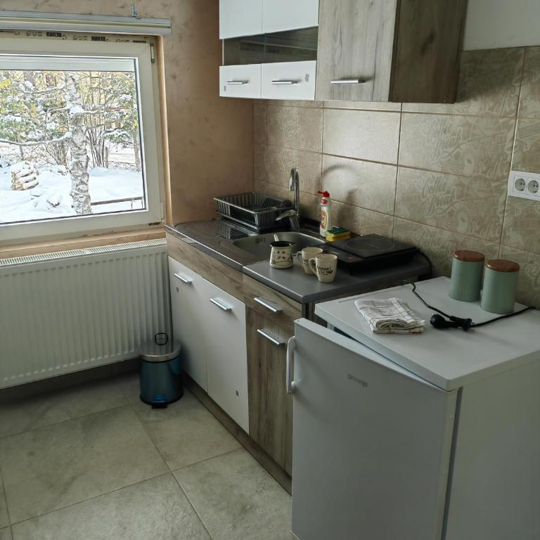 Apartman Zoric - One-Bedroom Apartment - 14