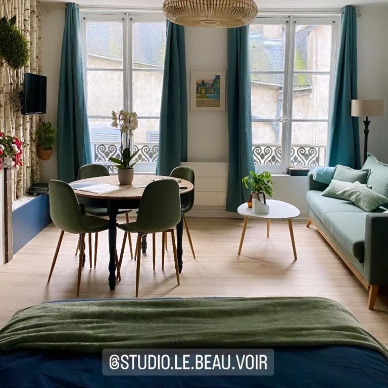 Studio 4 personnes aux pieds du château de Blois avec expérience de dormir sous les aurores boréales - Apartment - 13