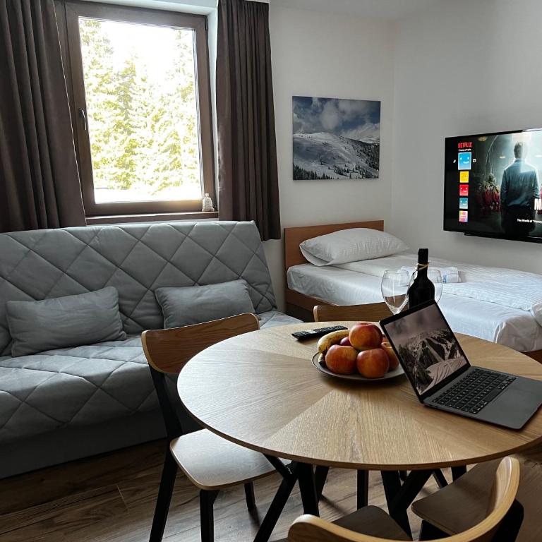 ZIMSKI Apartmani - Studio - 8