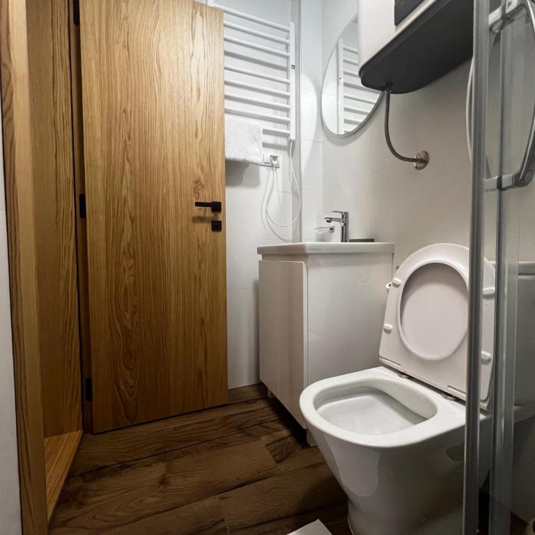 ZIMSKI Apartmani - Studio - 12