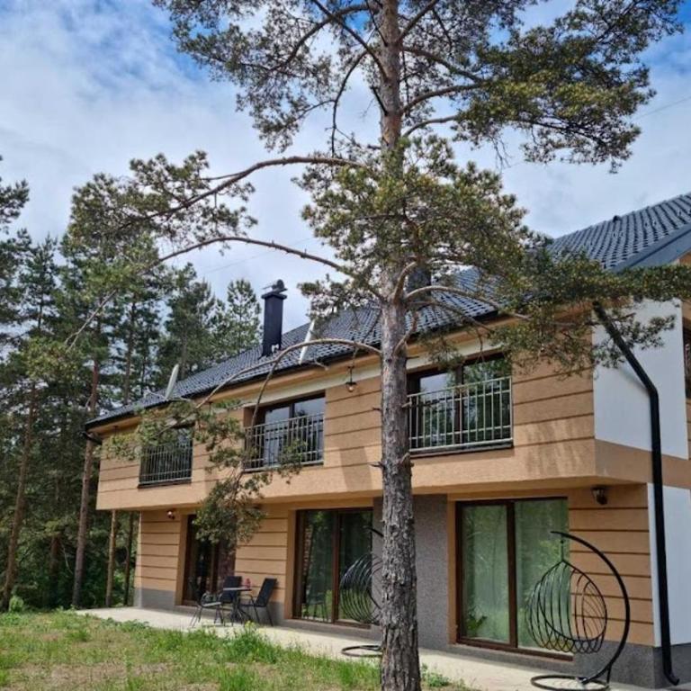 Apartman Nevena Divčibare 2 - Two-Bedroom Apartment - 12