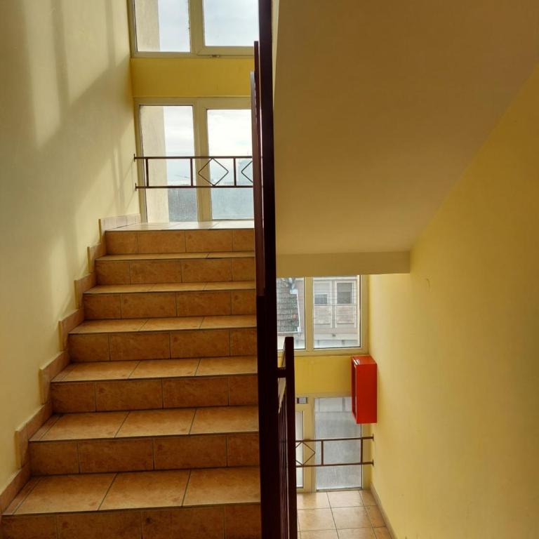 Lena Studio - Studio with Terrace - 14