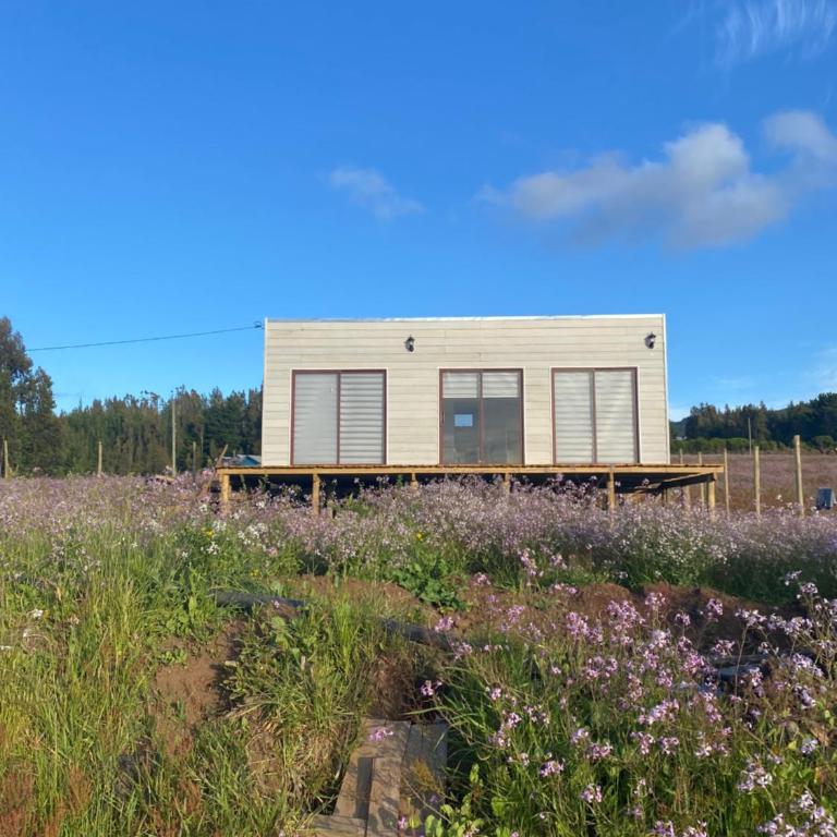 Cabaña Viaducto Vista al Mar, Curanipe - Casa - 31
