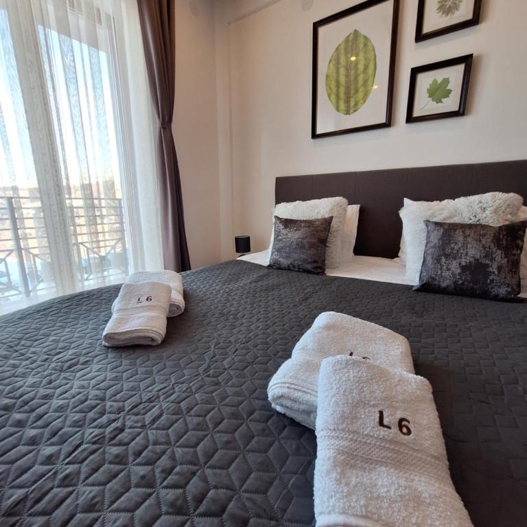 Apartmani L6 & P90 Milmari Kopaonik - Apartman sa Terasom - 6