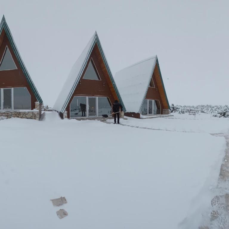 Mountain house Vojinovic Planinska kuća Vojinovic - Two-Bedroom House - 32