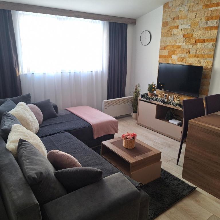 Apartmani L6 & P90 Milmari Kopaonik - Apartman sa 1 Spavaćom Sobom - 8