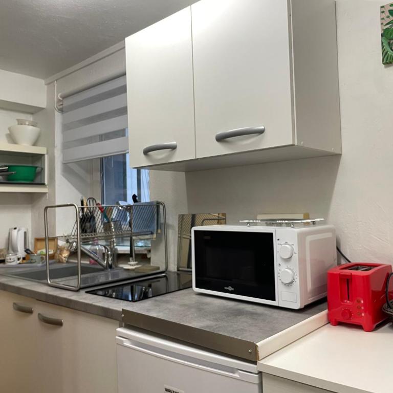 Appartement COZY Parc des Contades - Apartamento de 1 dormitorio - 12