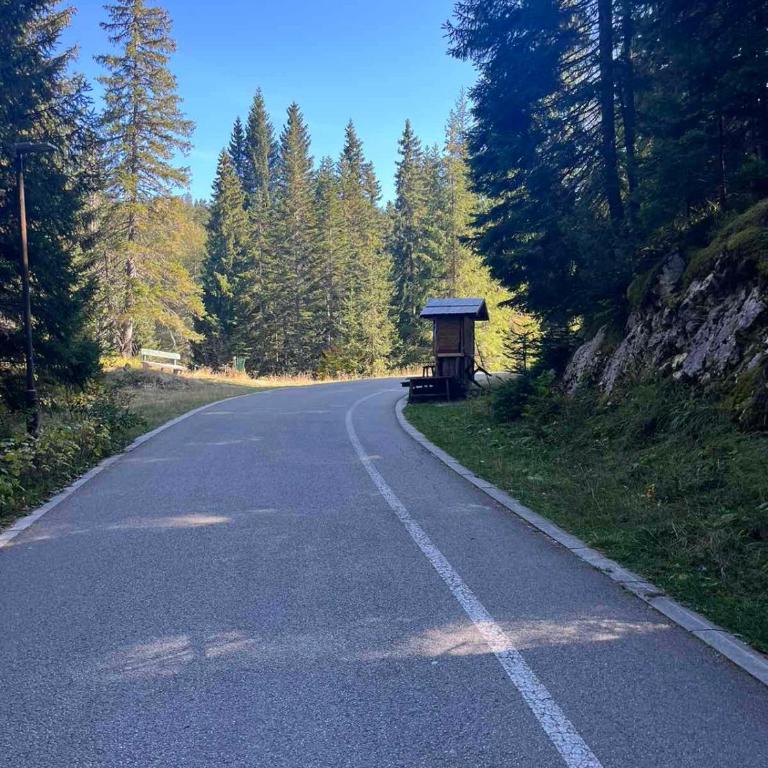 Mountain house Vojinovic Planinska kuća Vojinovic - Two-Bedroom House - 36