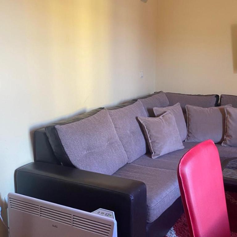 Apartman RED u Vrnjačkoj Banji - Apartman sa 1 Spavaćom Sobom - 13