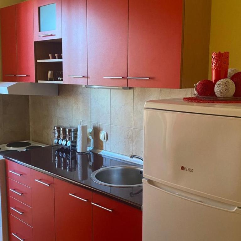 Apartman RED u Vrnjačkoj Banji - Apartman sa 1 Spavaćom Sobom - 5