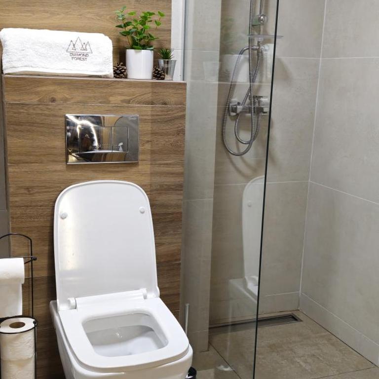 Diamond Forest Zlatibor - Apartman sa 1 Spavaćom Sobom - 16