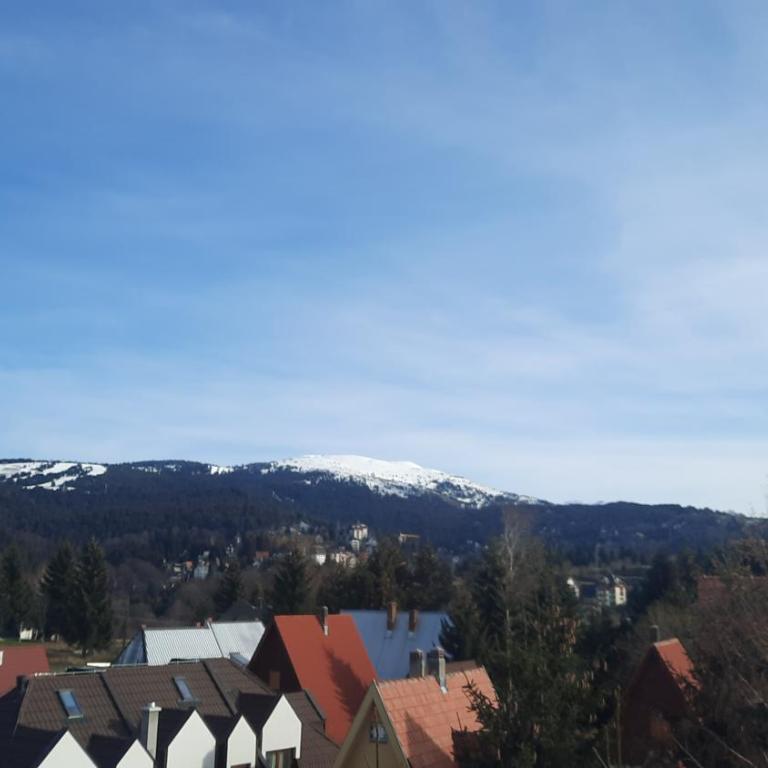 Pogled Apartman Kopaonik - One-Bedroom Apartment - 5