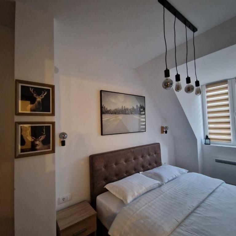 Pogled Apartman Kopaonik - One-Bedroom Apartment - 8