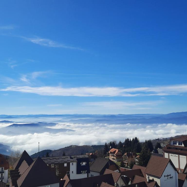 Pogled Apartman Kopaonik - One-Bedroom Apartment - 19