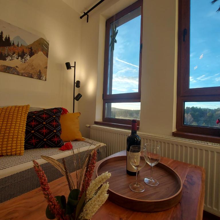 Aries apartman Divčibare - Apartman sa 1 Spavaćom Sobom - 24