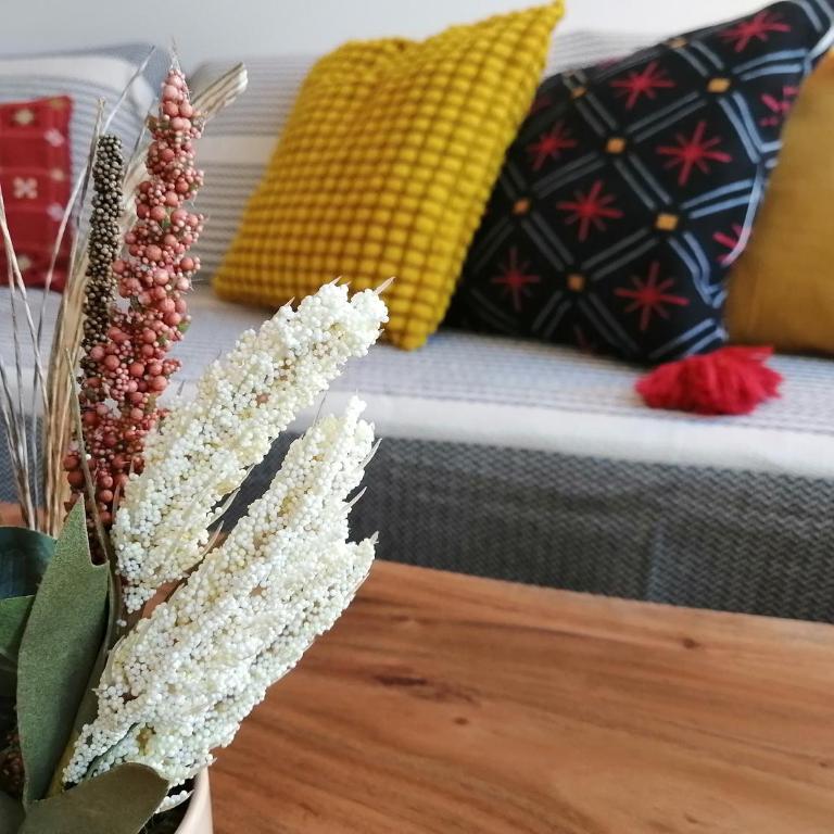 Aries apartman Divčibare - Apartman sa 1 Spavaćom Sobom - 11